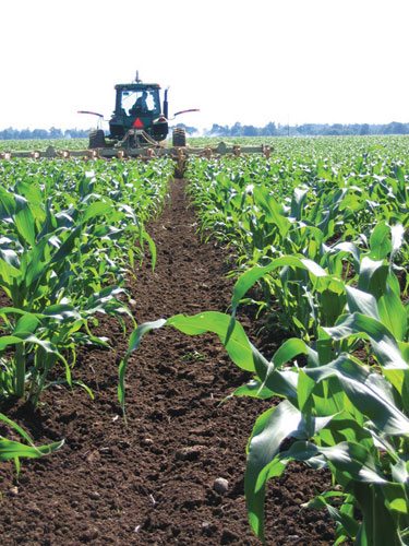 corn-and-tractor corn-and-tractor
