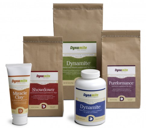 dynamite_0021_clippped1 new packaging and brand architecture