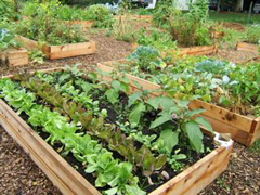 earth day garden earth day garden