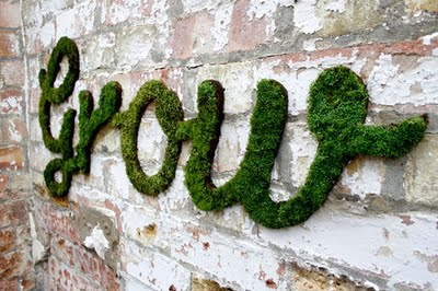 moss1 moss1