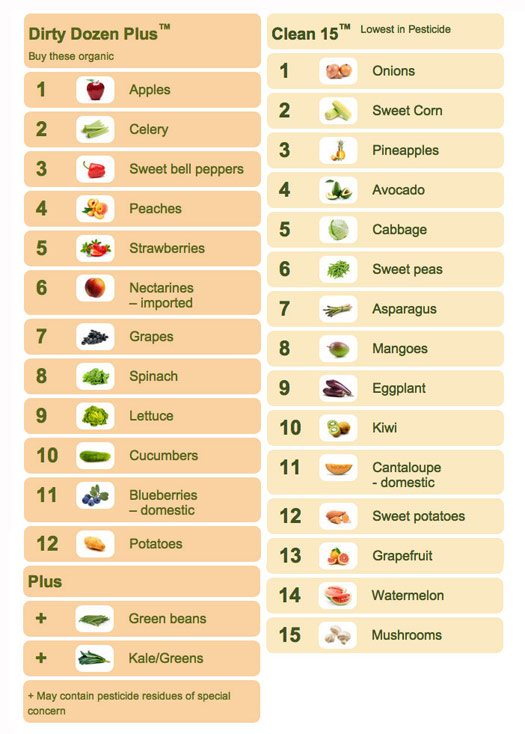 dirtydozen-520
