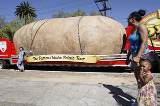 potato-truck potato-truck