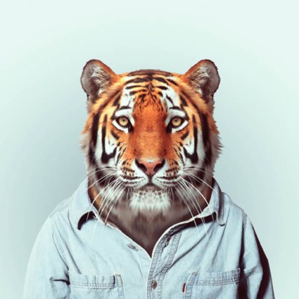 zoo1 zoo1