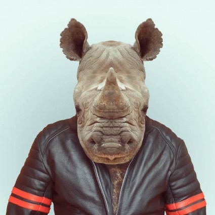 zoo11 zoo11