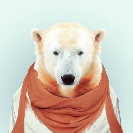 zoo13 zoo13
