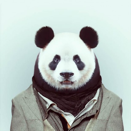 zoo16 zoo16