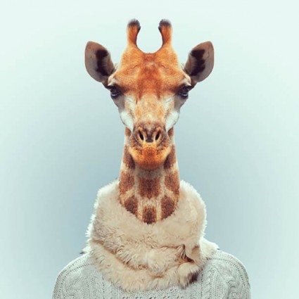 zoo3 zoo3
