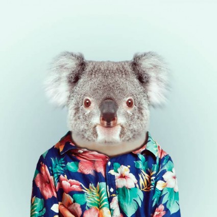 zoo4 zoo4