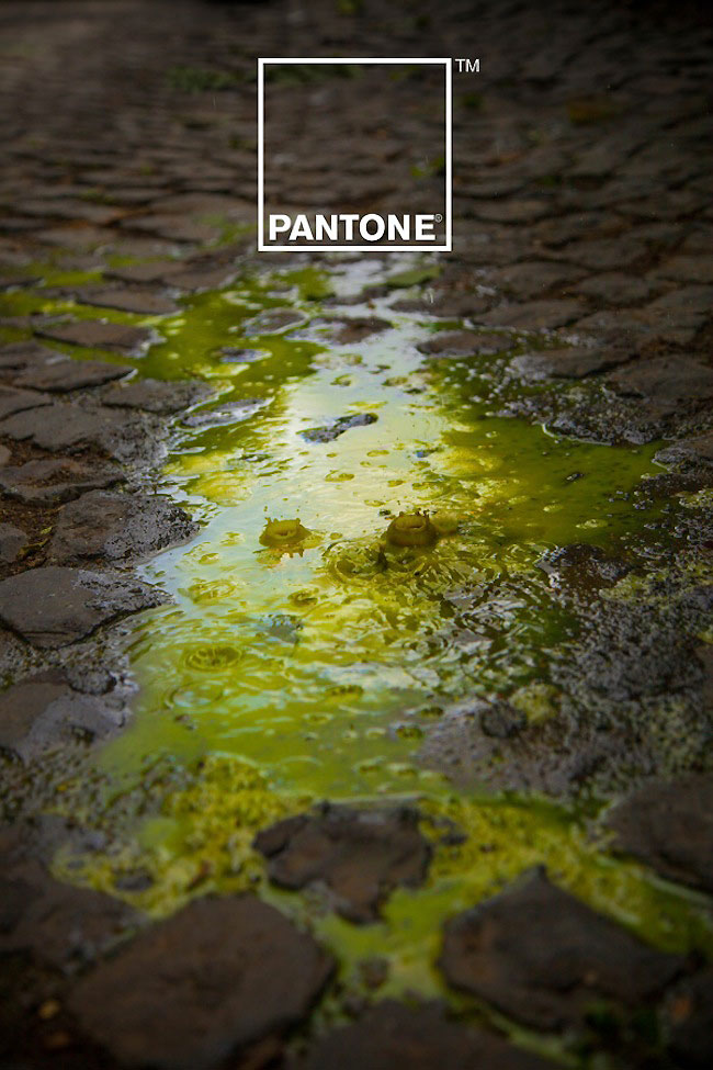 pantone-rain-2 pantone-rain-2