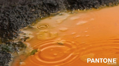 pantone-rain-7 pantone-rain-7